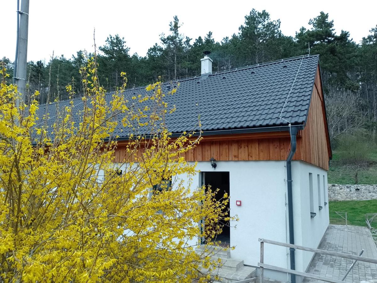 Penzion Litohlavy 17 - Na Samote U Lesa Králŭv Dvŭr Kültér fotó